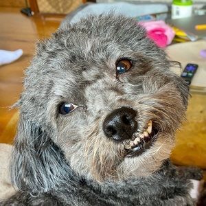 Meet your Posher, Maryann